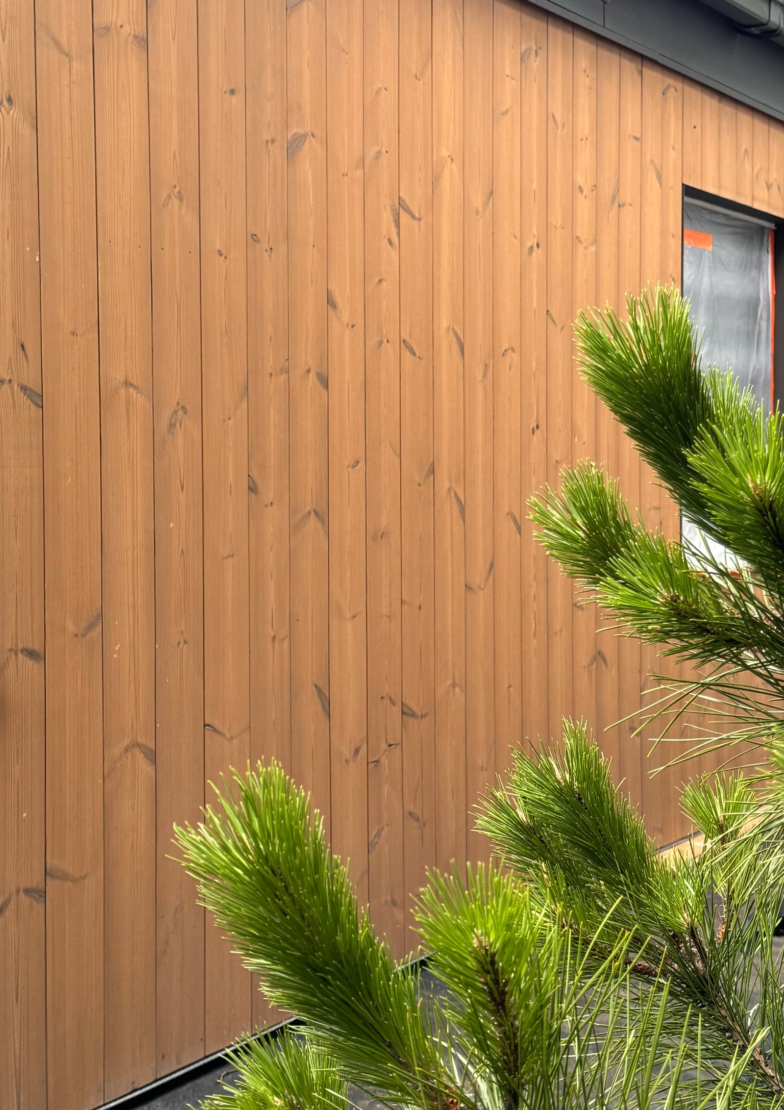 Thermally modified wood cladding | Profile F-6 - Image 4