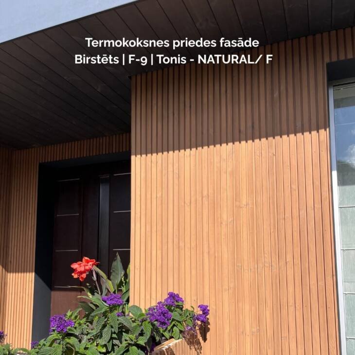 Termokoksnes fasāde | F-9 profils - Image 5